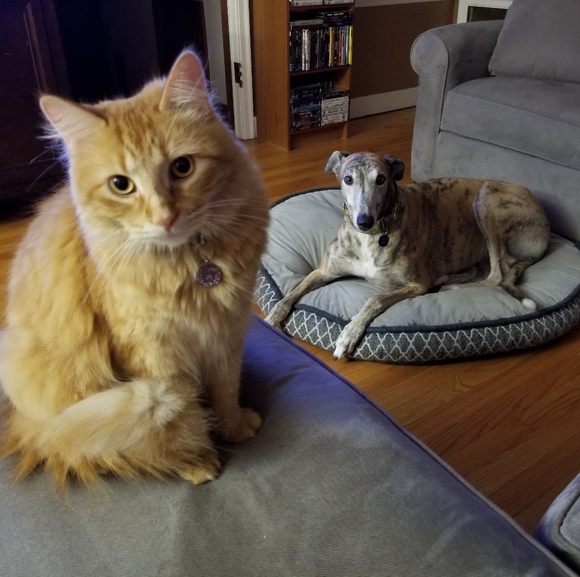 Meet your Posher, Dana - Picture 1 of 10